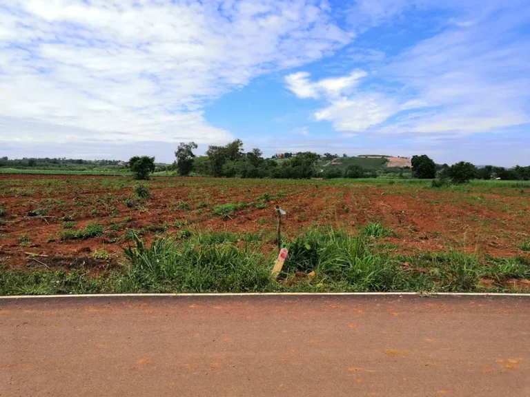 ขายที่ดินสวย อากาศดี 50 ไร่ อปากช่อง ตคลองม่วง ใกล้ Mövenpick Resort Khao Yai ใกล้ Sugavia Healthy Land