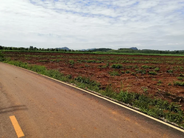 ขายที่ดินสวย อากาศดี 50 ไร่ อปากช่อง ตคลองม่วง ใกล้ Mövenpick Resort Khao Yai ใกล้ Sugavia Healthy Land