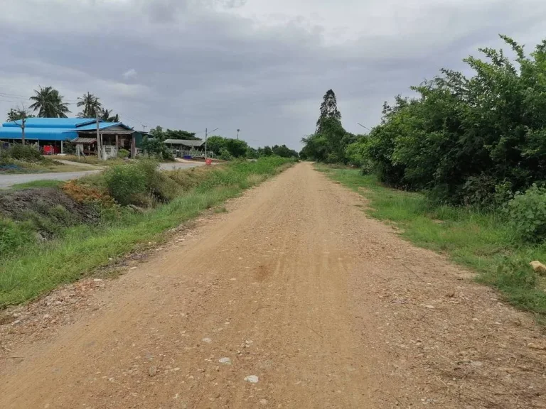 ขายที่ดิน 6 ไร่ 55 ตร ว อเมืองฯ ตตลิ่งชัน จ สุพรรณบุรี NO 193