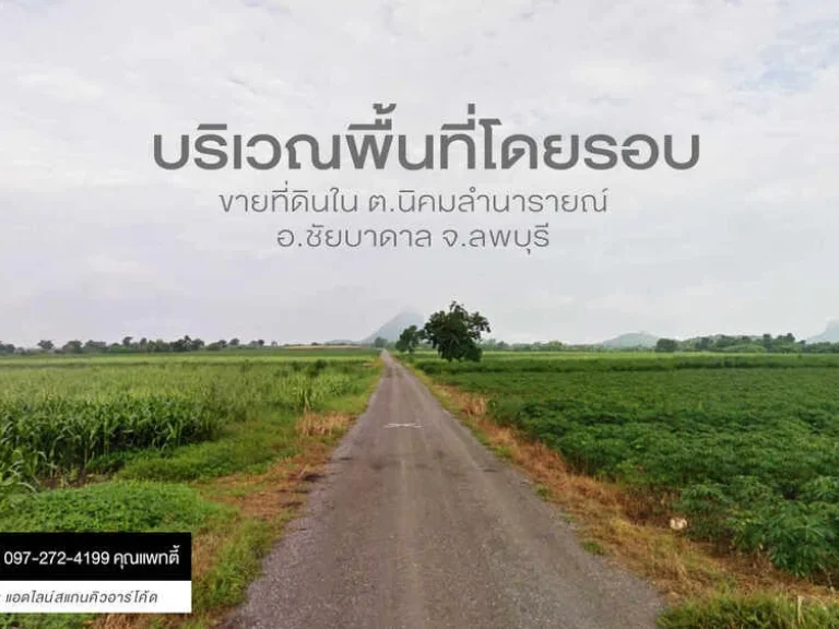 ขายที่ดินพื้นที่สีม่วง 47 ไร่ ทำโรงงานได้ ทำไร่ได้ ที่สวย ราคาดี เจ้าของขายเอง