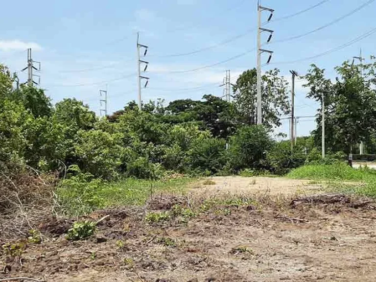 ขายที่ดินติดถนนใหญ่ใกล้โลตัส ท่าระหัด เมืองสุพรรณบุรี