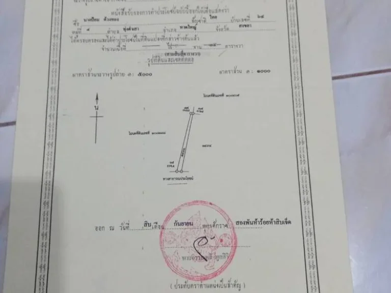 ขายที่ดินสวน ตำบลฉลุงไม่ไกลจากตัวเมืองใกล้สนามบินอำเภอหาดใหญ่