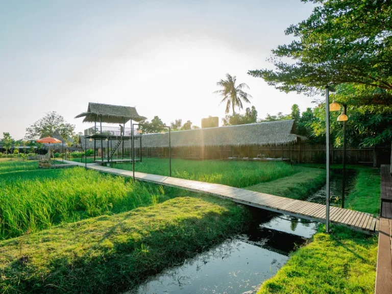 ขาย คาเฟ่ฟาร์ม พื้นที่ 54ไร่ พร้อม ร้านอาหาร ร้านกาแฟ สนามฟุตบอล รีสอร์ท 10ห้อง โรงเรือน 3หลัง ดอนตูม นครปฐม