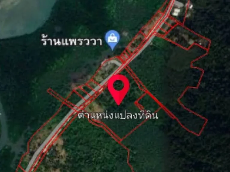 ขายด่วนที่ดินเกาะช้าง เกาะช้างใต้ บ้านสลักคอก ใกล้ลำคลอง ติดถนน