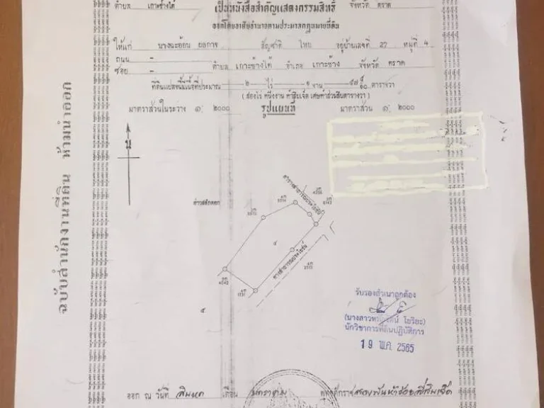 ขายด่วน ขายที่ดินเกาะช้าง พร้อมสิ่งปลูกสร้าง ด้านหน้าติดลำคลอง