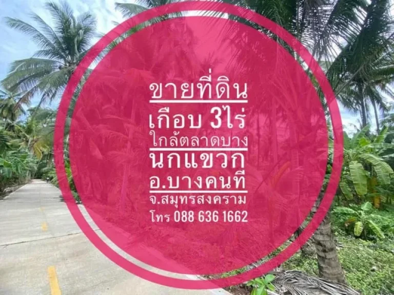 ขายถูกที่ดินเกือบ3ไร่ ไม่ไกลจากกรุงเทพ ท่ามกลางธรรมชาติ ใกล้แหล่งชุมชน มีเพื่อนบ้าน จสมุทรสงคราม