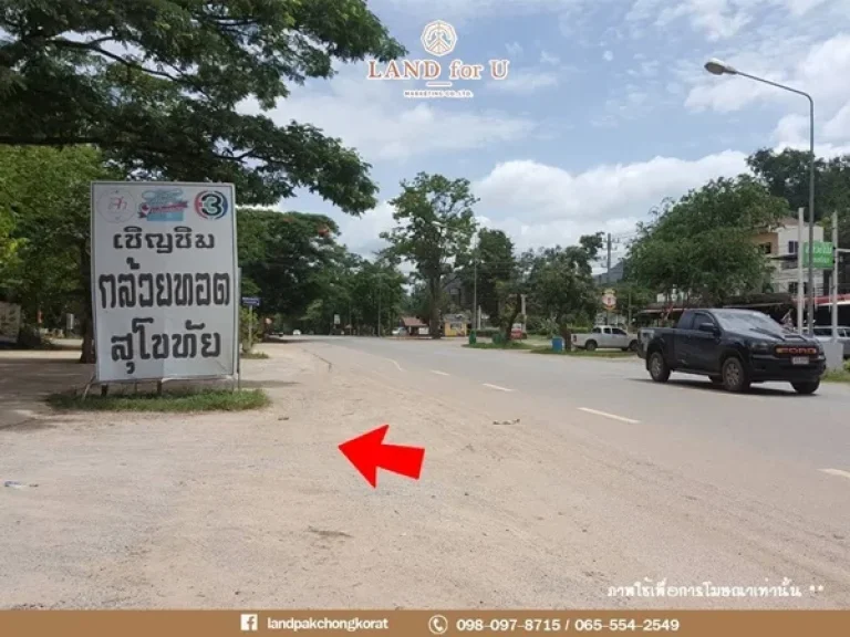 ขายที่ดินเขาใหญ่ติดถนนธนะรัชต์ กม10 ตรงกล้วยทอดสุโขทัย ตหมูสี อปากช่อง จนครราชสีมา