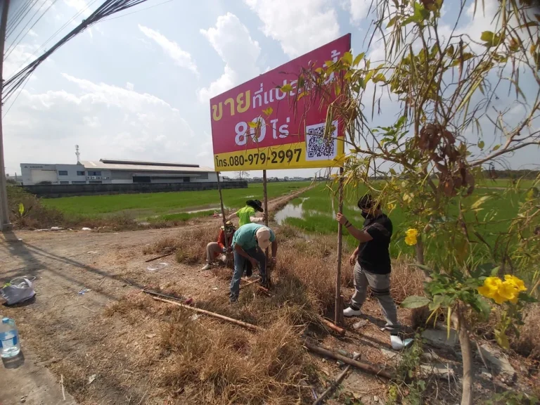 ขายที่ดินแปลงใหญ่ติดถนน 80ไร่ ถลำโพ บางบัวทองนนทบุรี ใกล้เซ็นทรัลเวสเกต ทำเลดีมาก ติดถนน ใกล้ถนนกาญจนาภิเษก เพียง450 เมตร ไร่ละ55ล้าน