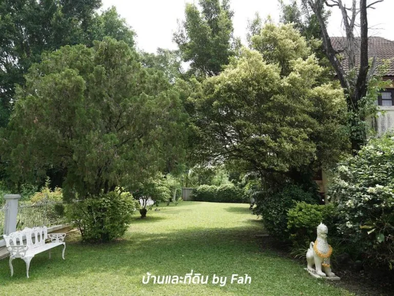 บ้านเดี่ยว 2 ชั้น สุดคลาสิก บรรยากาศดี ทำเลดีมาก ใกล้เมือง ถมหิดล เชียงใหม่