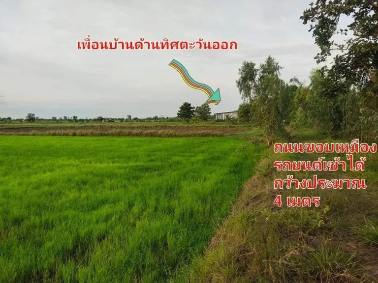 ที่นาสวย ใกล้ทางหลวงพิมาย - ชุมพวง ติดเหมืองสารธารณะประโยชน์ บ้านตะบอง