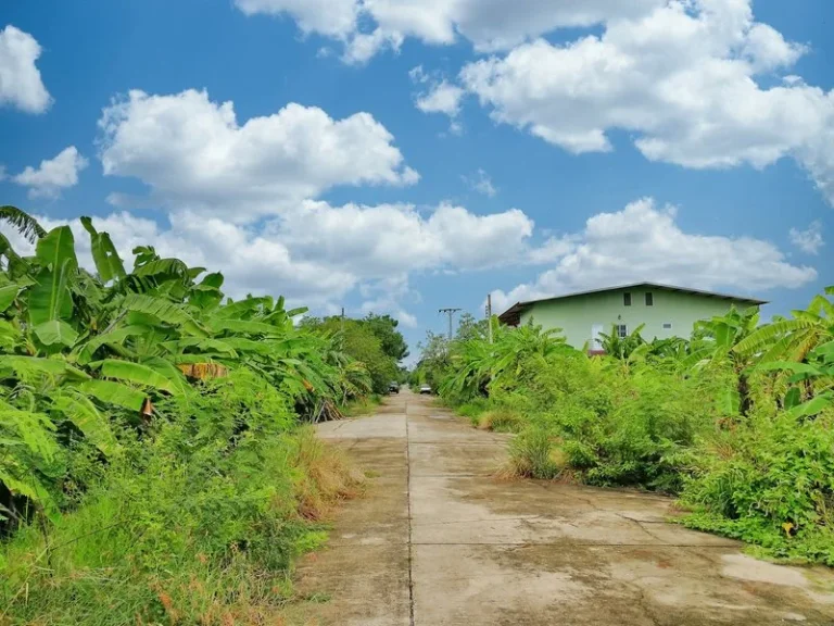 ขาย ที่ดิน ถนนประชาสำราญลำลูกกา-หนองจอก คลองสิบสอง ถมแล้ว ซอยสวนเกษตรเคหะการ ใกล้โรงพยาบาลลำลูกกา แขวงคลองสิบสอง เขตหนองจอก กทม