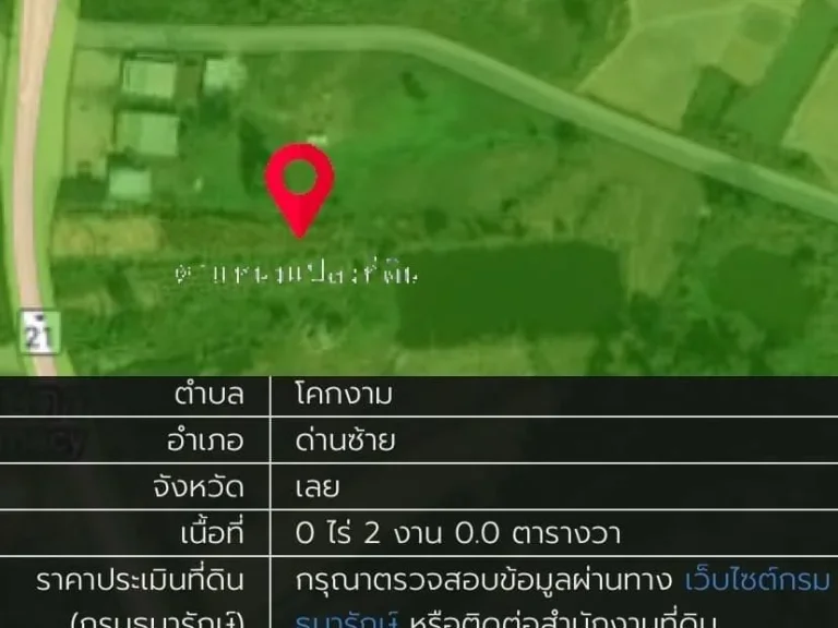 ขายที่ดินติดถนน 200 ตรว ทำเลค้าขาย ทำเลทองด่านซ้าย จเลย