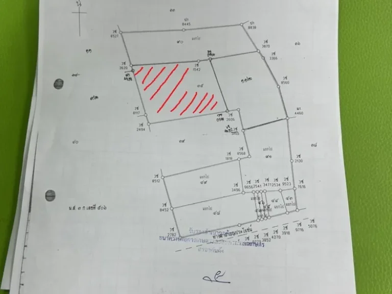 ขายที่ดิน 6 ไร่ แบ่งขายได้ ภาคใต้ ใกล้แหล่งท่องเที่ยว