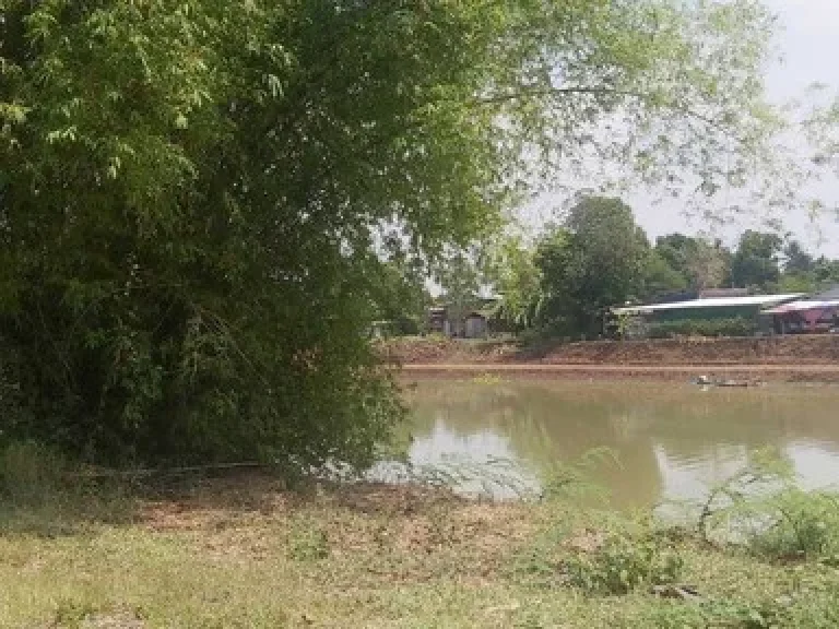 ขายที่ดินสวยริมแม่น้ำท่าจีน 300 ตรว สามชุก สุพรรณบุรี