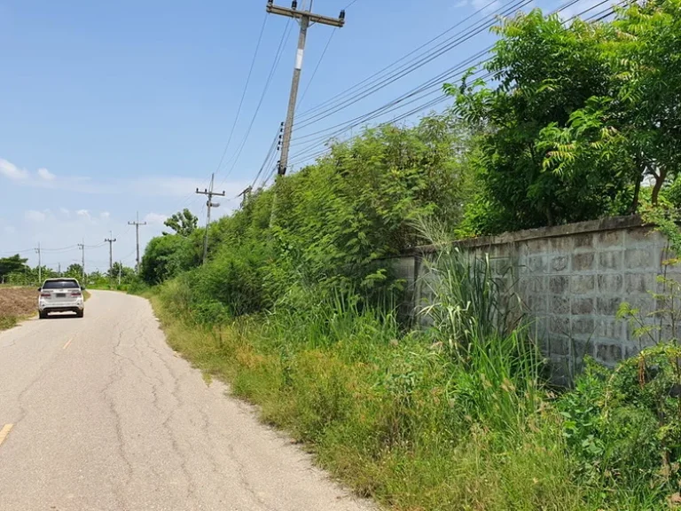 ทำเลดีเหมาะสำหรับทำหมู่บ้านจัดสรร ที่ดินถมทั้งแปลง ติดทาง 3 ด้าน และด้านหน้าคิดราดยาง 2 เลนน์ กว้าง 200 เมตร ใกล้ด่านเก็บเงินมอเตอร์เวย์