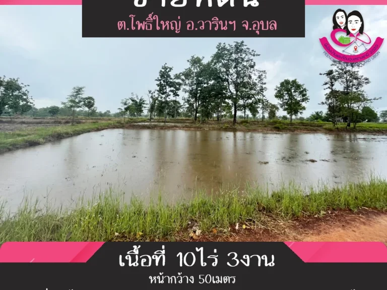 ขายที่ดิน เหมาะสำหรับทำการเกษตร เนื้อที่ 10ไร่ 3งาน ตำบลโพธิ์ใหญ่ อวารินชำราบ จอุบลราชธานี