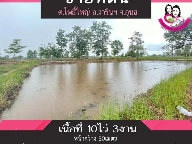 ขายที่ดิน เหมาะสำหรับทำการเกษตร เนื้อที่ 10ไร่ 3งาน ตำบลโพธิ์ใหญ่ อวารินชำราบ จอุบลราชธานี