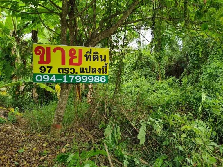 ขายที่ดิน 97 ตรว ตตลาดจินดา ชุมชนเขื่อนขันธ์พัฒนา นครปฐม