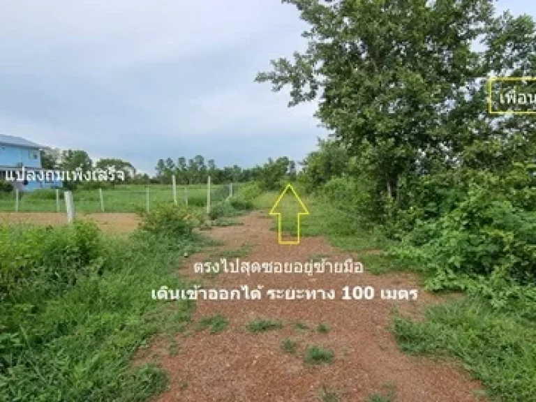 ขายที่ดิน ราคาถูก90 ตรวซอยเลียบวารี59 หนองจอก กทม