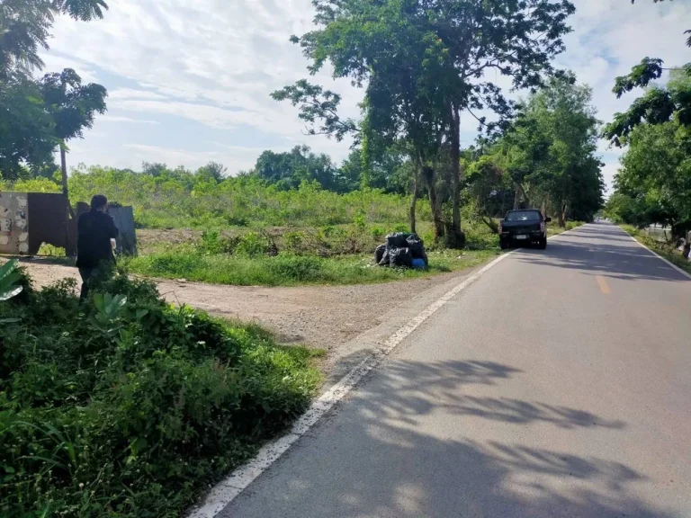 ที่ดิน 29 ไร่ ติดถนนเลียบคลองสี่ คลองหลวง ปทุมธานี