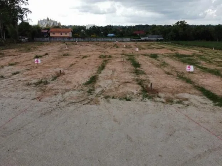 Land For Sale ที่ดินพัทยา แบ่งขาย ซอยทุ่งกลม-ตาลหมัน20