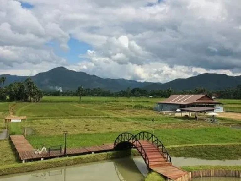 ขายที่ดินพร้อมสิ่งปลูกสร้าง บ้านพักอาศัย แม่ออน สันกำแพง เชียงใหม่