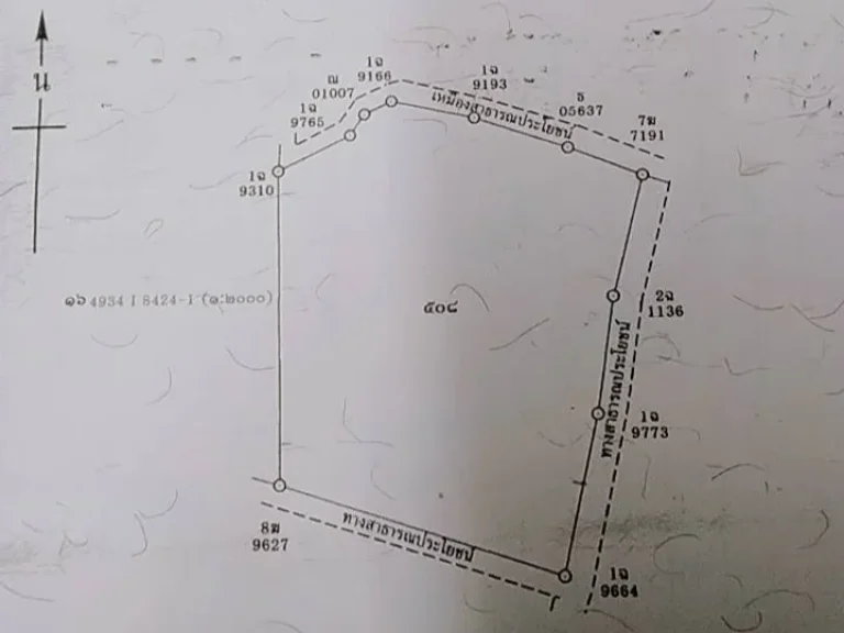 ขายที่ดินสวนเกษตร หรือจะจัดสรร 40-0-8 ไร่ ตวังไคร้