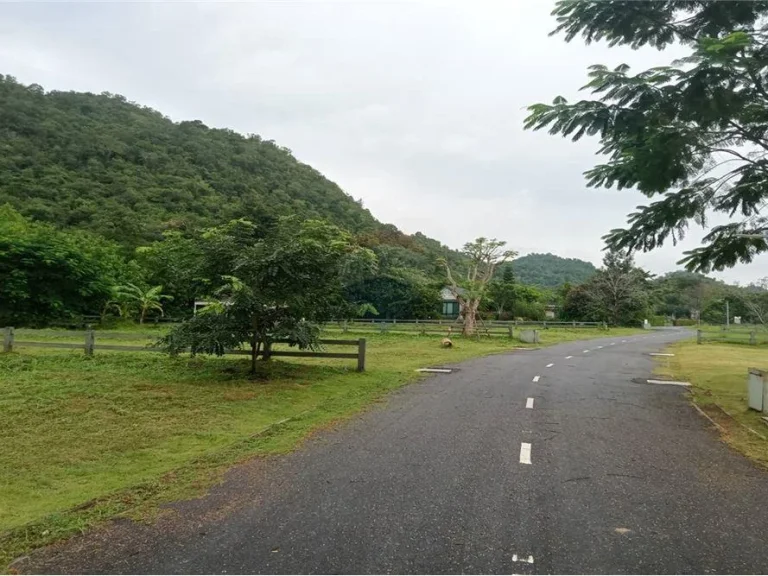 ขายที่ดินจัดสรร เขาใหญ่ Barn House Khao Yai Bilberry Hill ปากช่อง กู้สร้างบ้าน รีสอร์ท ซื้อลงทุน ที่ดินแบ่งขาย ตรว19500