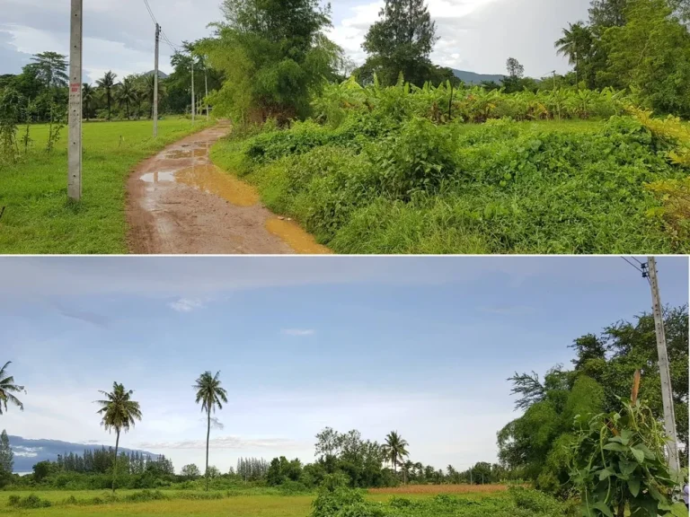 ที่ดินสวนสวยไม่ต้องถม วิวภูเขาอุดมสมบูรณ์ 65ไร่เศษ หน้า-หลังกว้างติดถนนในชุมชนไฟฟ้าประปาพร้อม ใกล้ถนนใหญ่แก่งกระจาน1กม