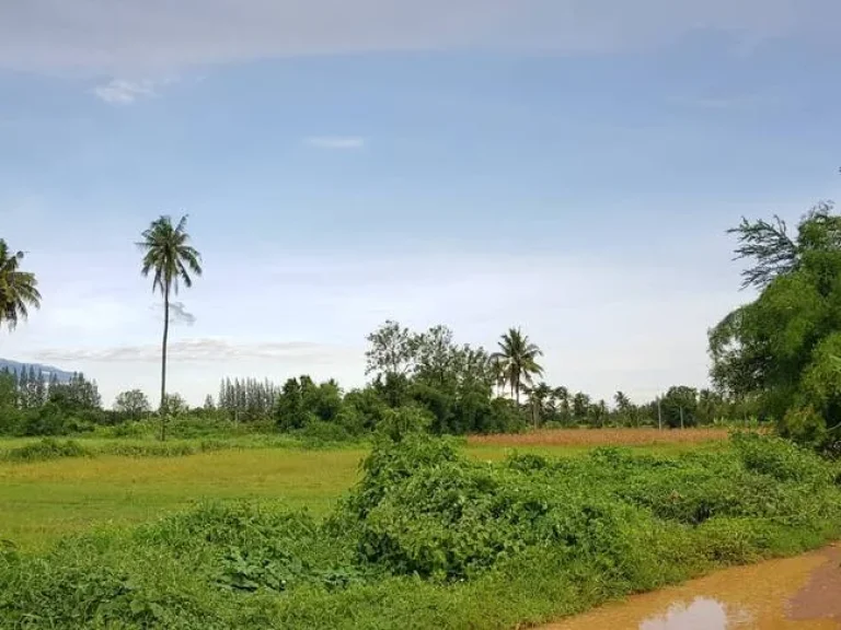 ที่ดินสวนสวยไม่ต้องถม วิวภูเขาอุดมสมบูรณ์ 65ไร่เศษ หน้า-หลังกว้างติดถนนในชุมชนไฟฟ้าประปาพร้อม ใกล้ถนนใหญ่แก่งกระจาน1กม