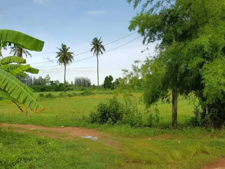 ที่ดินสวนสวยไม่ต้องถม วิวภูเขาอุดมสมบูรณ์ 65ไร่เศษ หน้า-หลังกว้างติดถนนในชุมชนไฟฟ้าประปาพร้อม ใกล้ถนนใหญ่แก่งกระจาน1กม