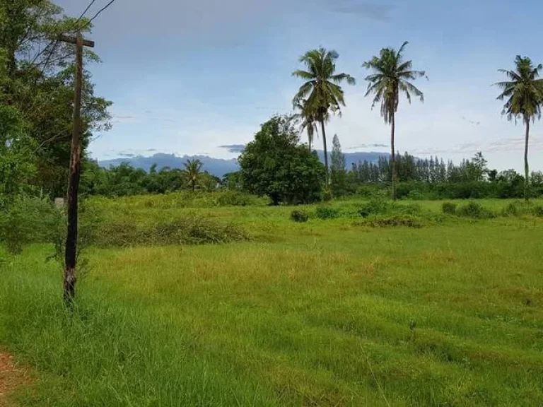 ที่ดินสวนสวยไม่ต้องถม วิวภูเขาอุดมสมบูรณ์ 65ไร่เศษ หน้า-หลังกว้างติดถนนในชุมชนไฟฟ้าประปาพร้อม ใกล้ถนนใหญ่แก่งกระจาน1กม