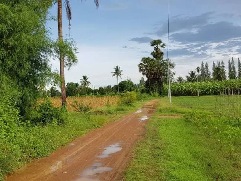 ที่ดินสวนสวยไม่ต้องถม วิวภูเขาอุดมสมบูรณ์ 65ไร่เศษ หน้า-หลังกว้างติดถนนในชุมชนไฟฟ้าประปาพร้อม ใกล้ถนนใหญ่แก่งกระจาน1กม