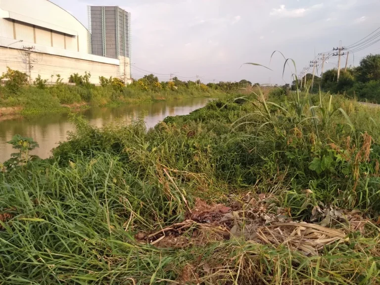 ที่สวย บรรยากาศดี ถมแล้ว 1 ไร่ ใกล้แยกนพวงค์ ทำบ้านสวน โกดังเก็บของ โรงงาน