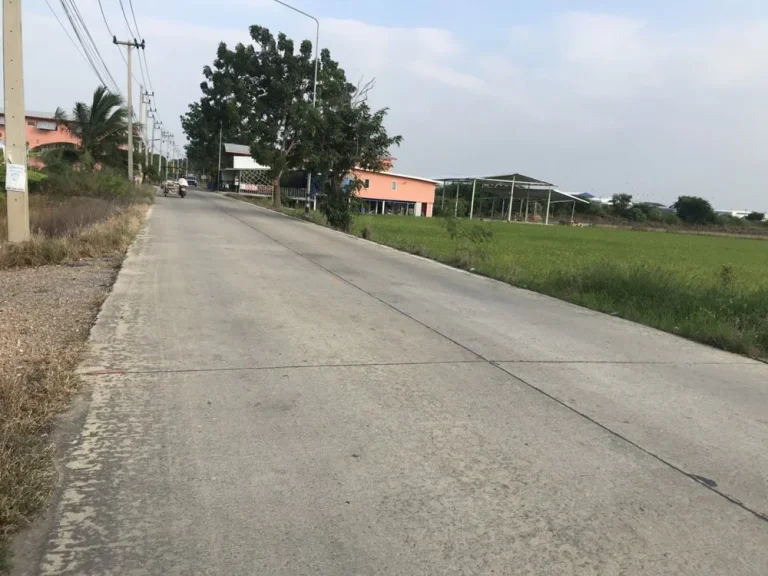 ที่ดินสวย สภาพแวดล้อมดี ทำเลดี บรรยากาศร่มรื่น อากาศดีมาก ย่านลาดหลุมแก้ว ปทุมธานี