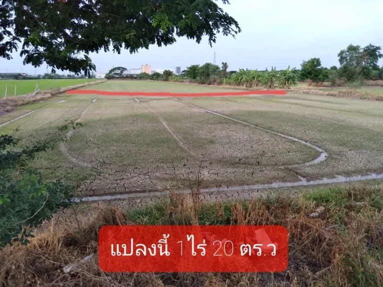 ที่ดินสวย บรรยากาศดี 420 ตรว ใกล้ ถเส้น346 ติดถนน 2 ด้าน เป็นส่วนตัว ทำบ้านสวน โกดัง โรงงาน