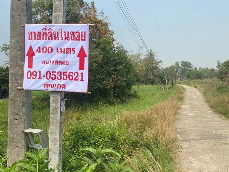 ขายที่ดินพร้อมต้นปาร์ม ตพานพร้าว อศรีเชียงใหม่ จหนองคาย