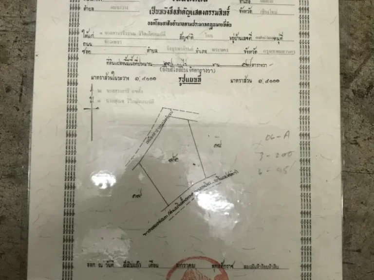 ขายที่ดิน 24 ไร่ ตแม่นาวาง อแม่อาย จเชียงใหม่ ติดถนน-เดินทางง่าย-ต่อรองได้