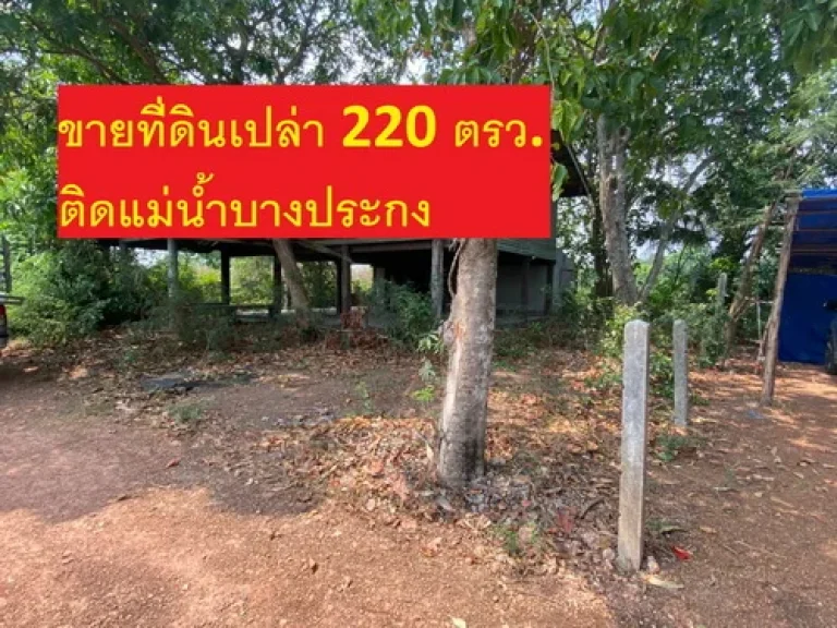 ขายที่ดินเปล่า 220 ตรว ตบางพลวง อบ้านสร้าง จปราจีนบุรี