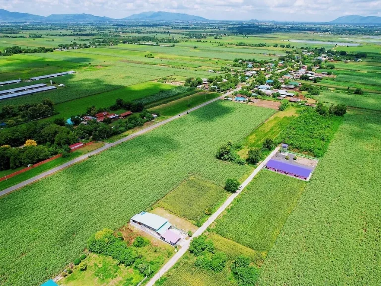 โค้งสุดท้ายที่ดินทำเลดีย่านเศรษฐกิจ แหล่งลงทุน ตโคกตูม อเมือง จลพบุรี