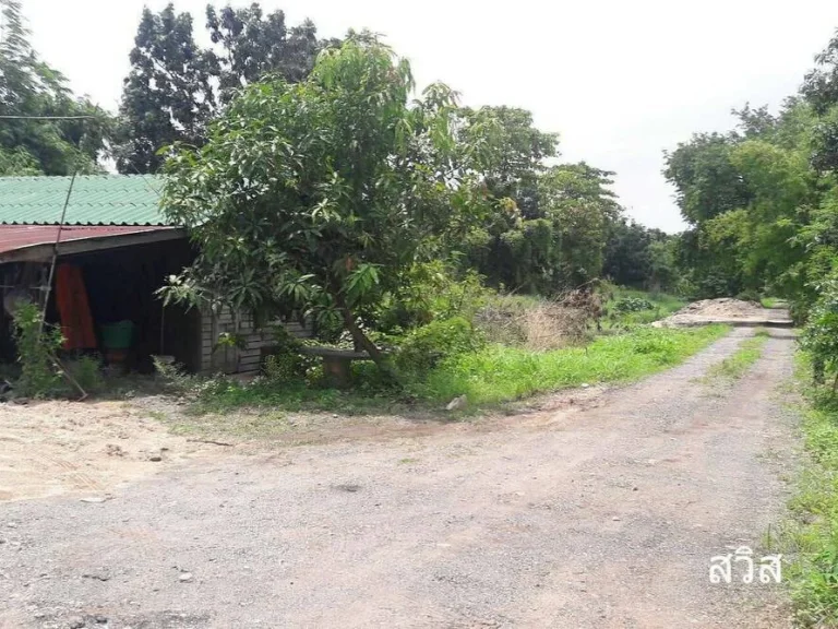 ขายที่ดิน 8-1-65 ไร่ ติดถนนรามคำแหง ห่างสถานีรถไฟฟ้า เคหะรามคำแหง 500เมตร เขตมีนบุรี กรุงเทพๆ