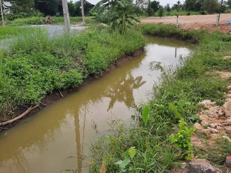 ขายที่ดินวิวดอยติดลำห้วยลวงเหนือดอยสะเก็ตห่างโรงพยาบาลดอยสะเก็ตเพียง15กม