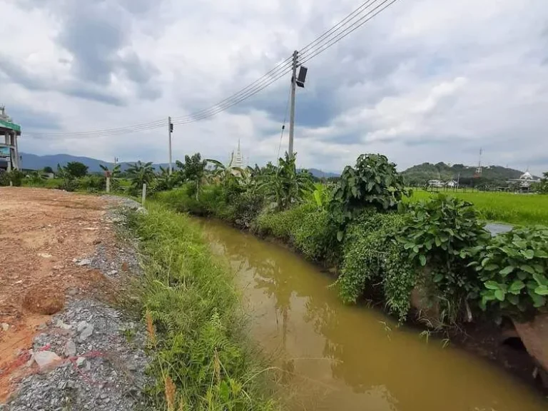 ขายที่ดินวิวดอยติดลำห้วยลวงเหนือดอยสะเก็ตห่างโรงพยาบาลดอยสะเก็ตเพียง15กม