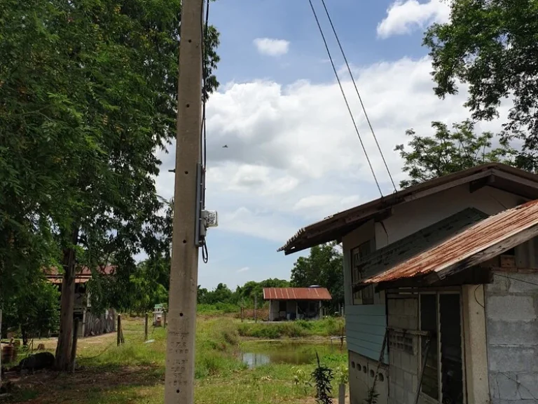 ขายที่ดิน พื้นที่เกือบ 2 ไร่ อเมือง จสุพรรณบุรี เจ้าของโพสเอง ติดต่อได้โดยตรง ติดถนนคอนกรีต ถมแล้ว มีน้ำ-ไฟฟ้า จาก MRT 80 นาที