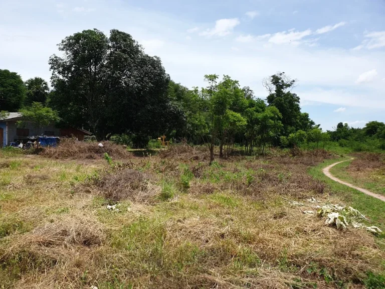 ขายที่ดิน พื้นที่เกือบ 2 ไร่ อเมือง จสุพรรณบุรี เจ้าของโพสเอง ติดต่อได้โดยตรง ติดถนนคอนกรีต ถมแล้ว มีน้ำ-ไฟฟ้า จาก MRT 80 นาที