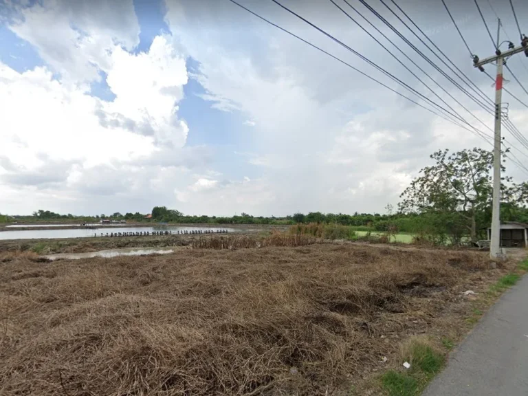 ขายที่ดินแปดริ้ว 279 ตรว ติดถนนลาดยาง ใกล้สถานีรถไฟบางเตย - 23 กม อเมือง จฉะเชิงเทรา