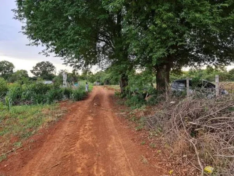 ขายที่ดินวิวขาใหญ่ สวยมาก อยู่หมูสี ใกล้Toscana และถธนะรัชต์ ราคาสวย ที่สวย หายาก