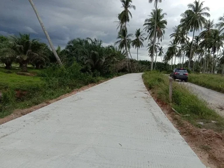 ขายที่ดินติดทะเล หาดเสาเภา ทําเลทอง ใกล้วัดเจดีย์ ไอ้ไข่ อสิชล นครศรีธรรมราช