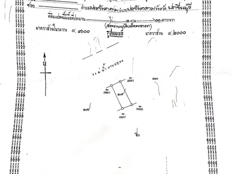 ที่ดินติดริมแม่น้ำบางประกง มีถนนคอนกรีต น้ำ ไฟ