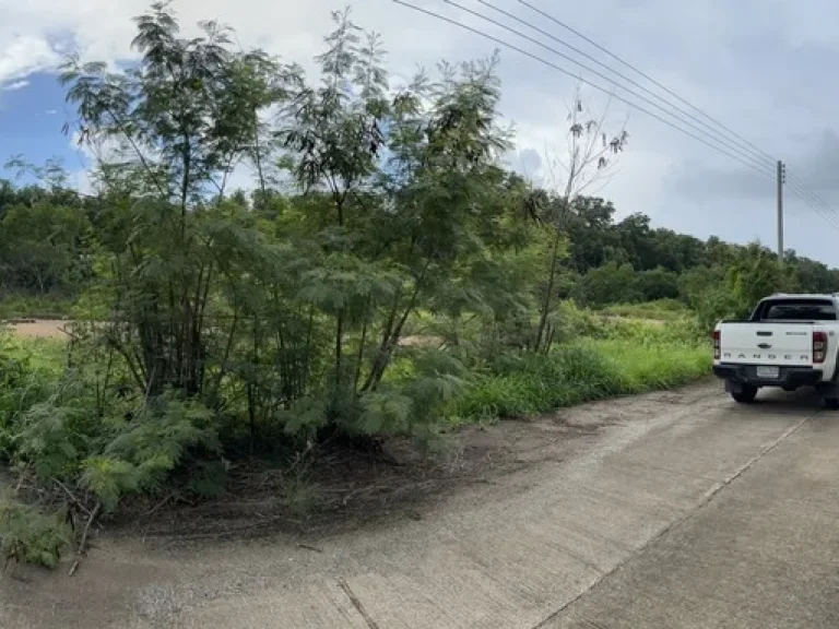 ที่ดินติดริมแม่น้ำบางประกง มีถนนคอนกรีต น้ำ ไฟ